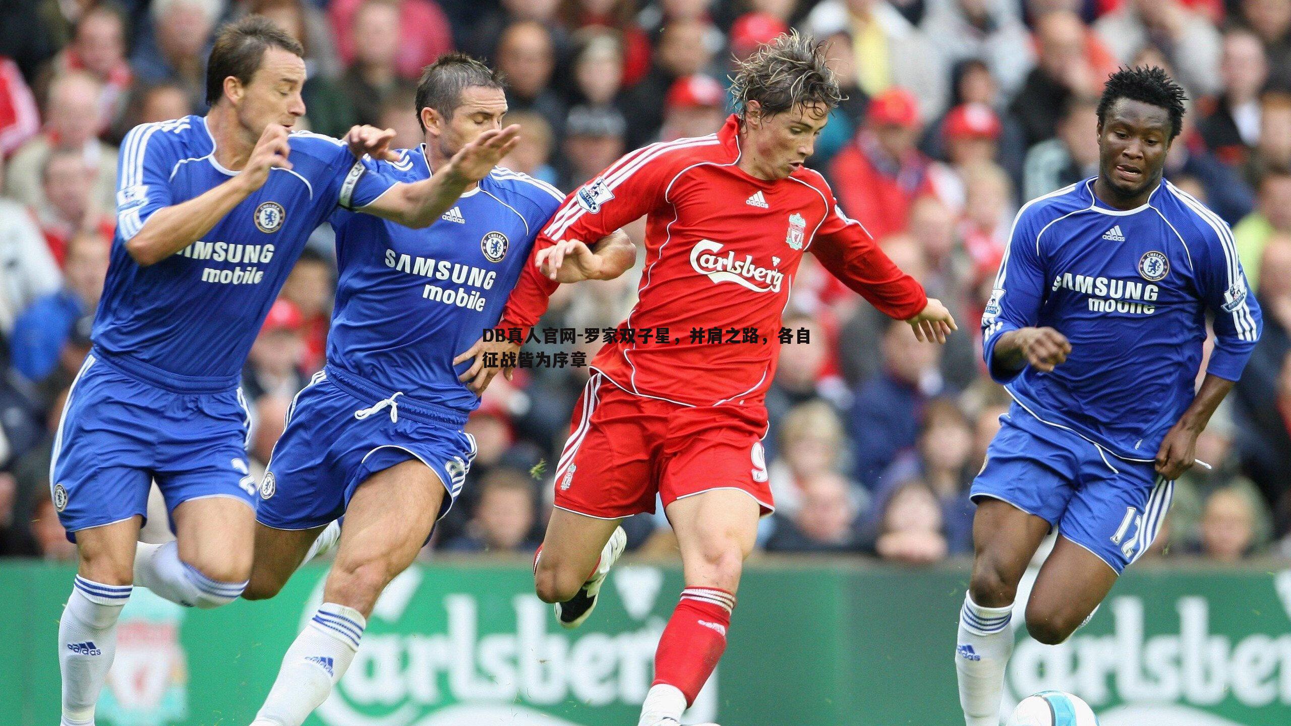 罗家双子星,并肩之路,各自征战皆为序章