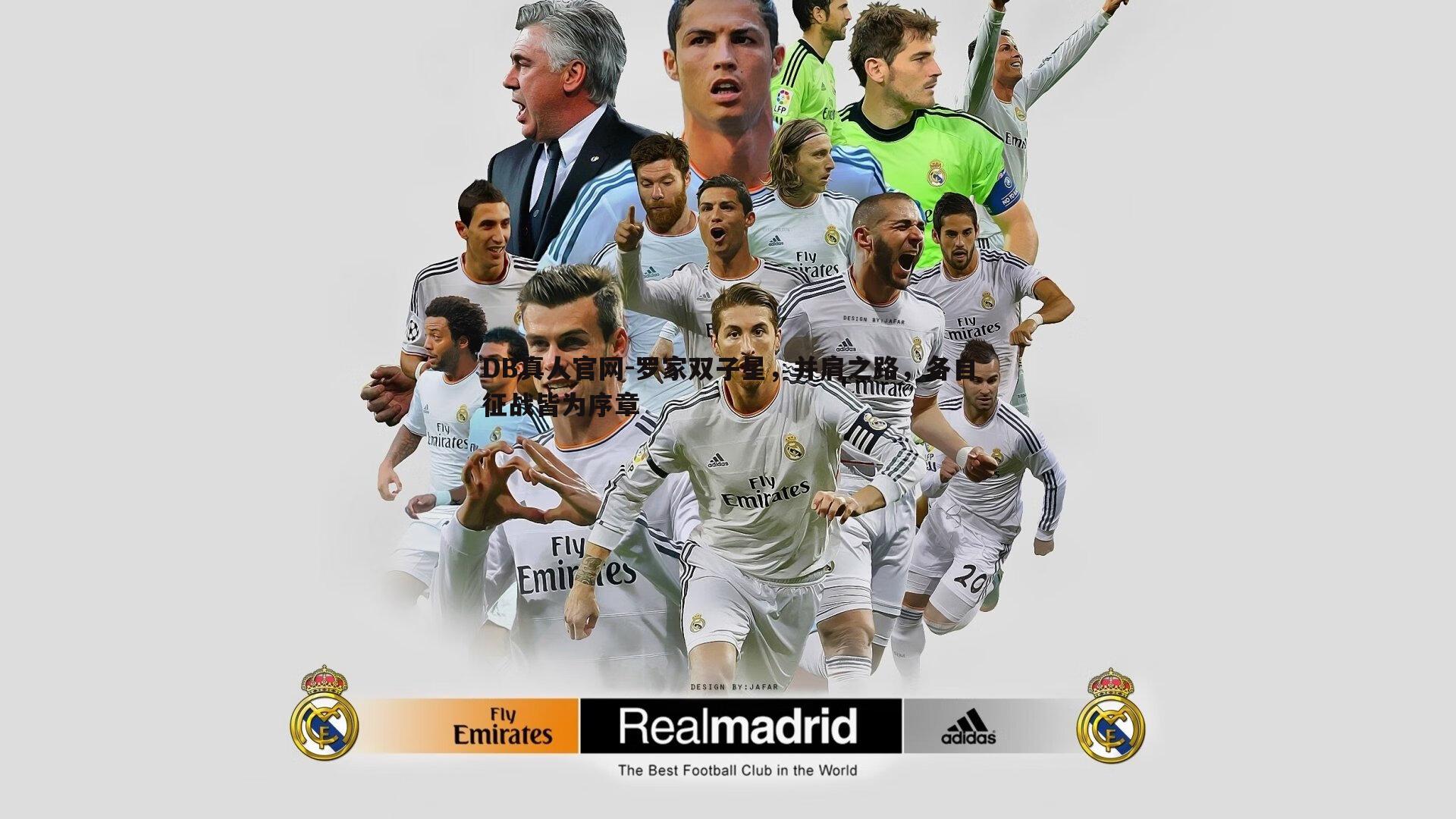 罗家双子星,并肩之路,各自征战皆为序章